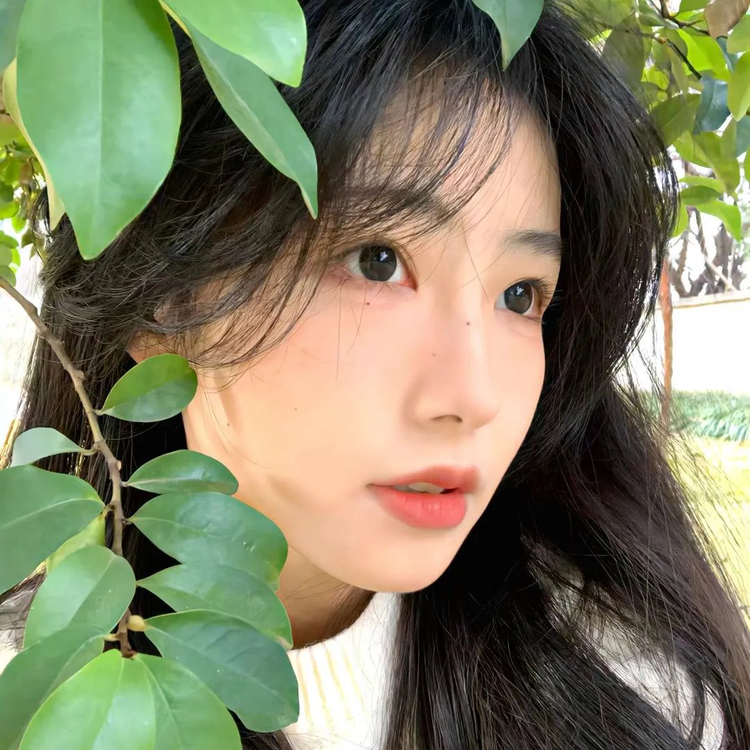 痴情马杀鸡
